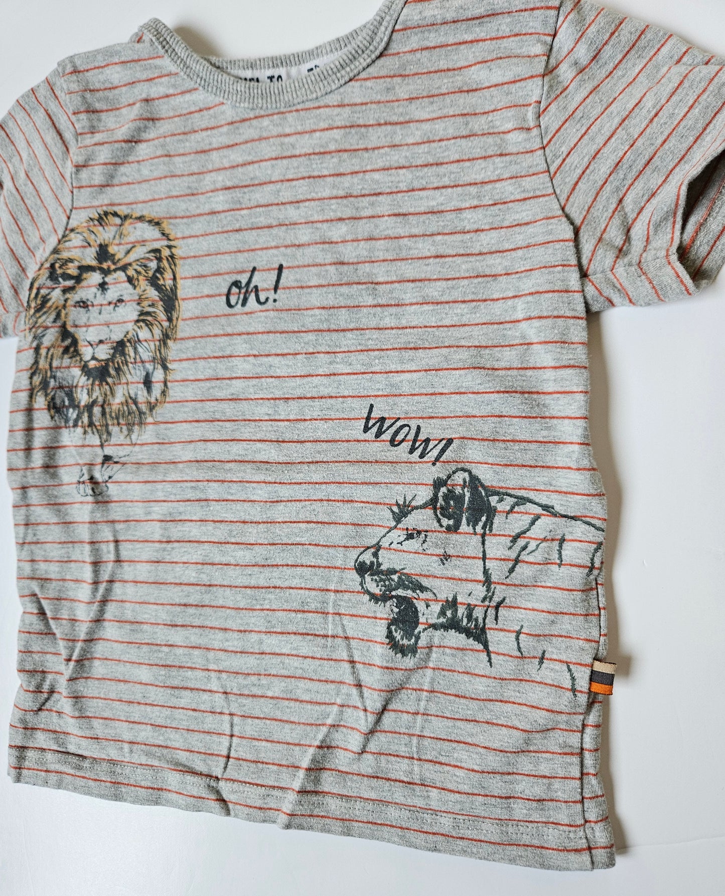 Dirkje ‘lion’ tshirt size 2Y